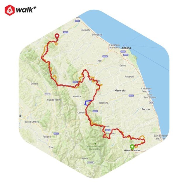 immagine-anteprima-app-walk-plus