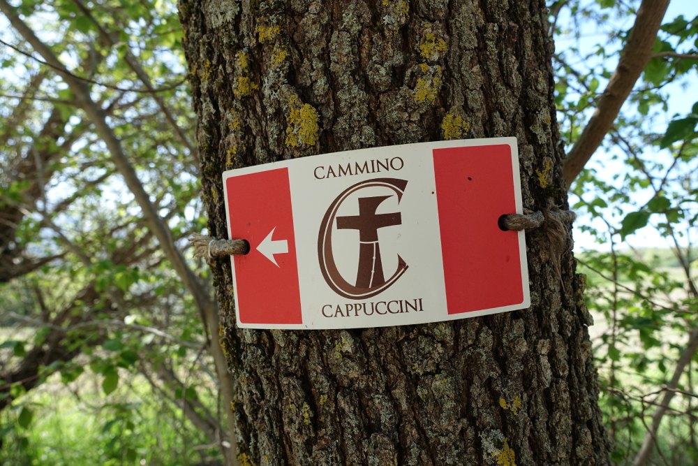 immagine-segnaletica