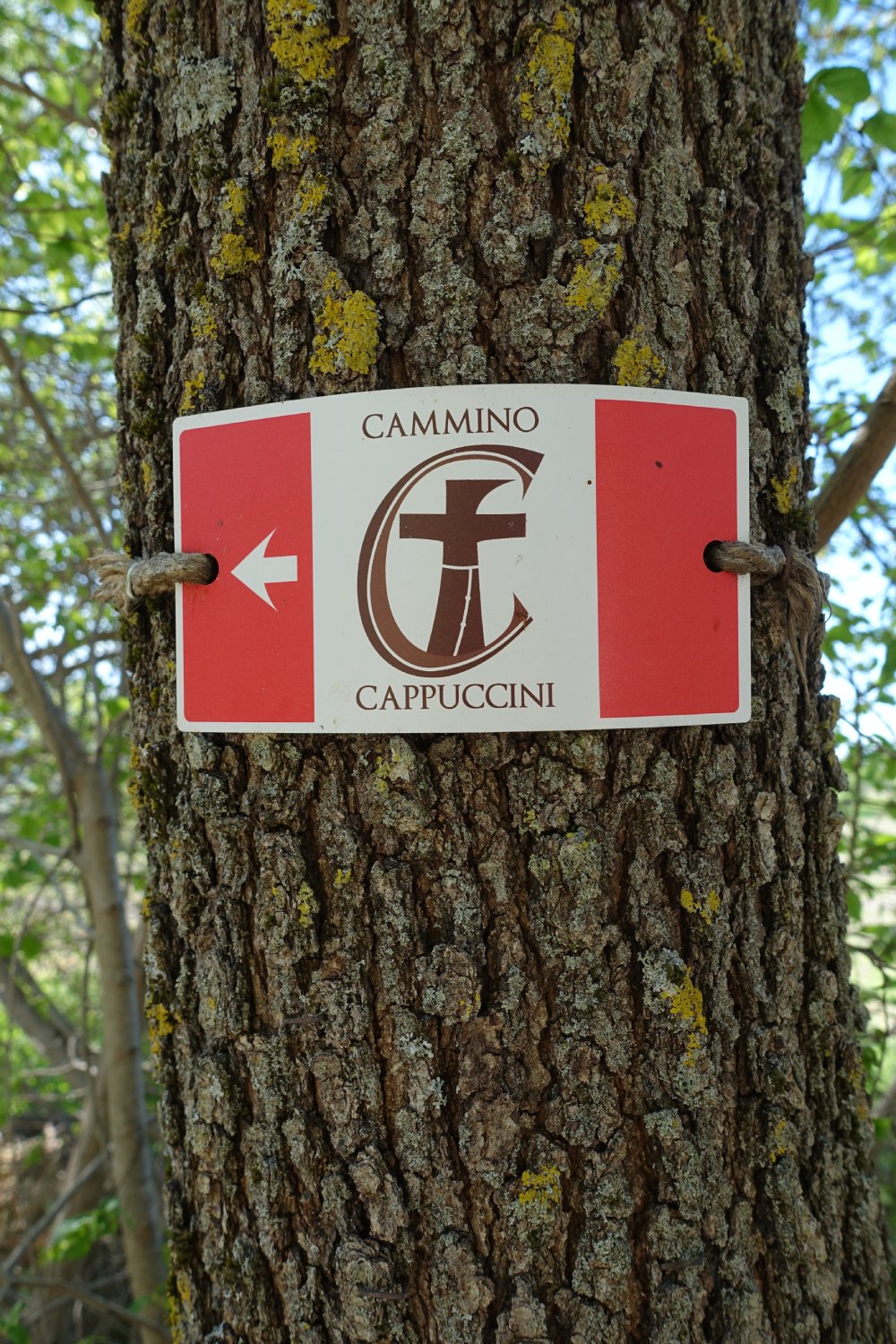 immagine-segnaletica