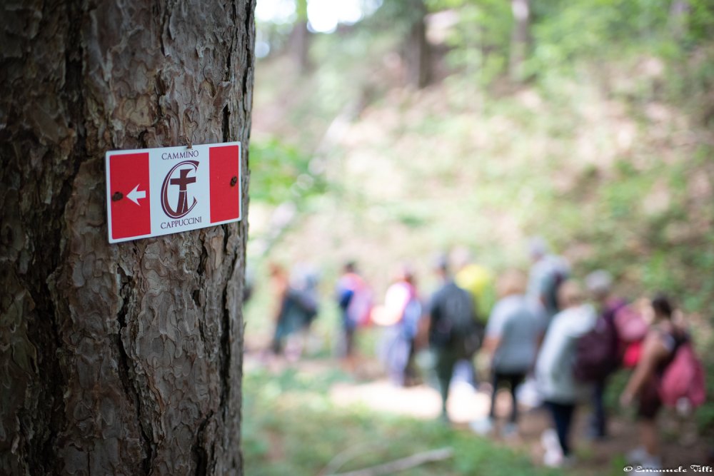 immagine-segnaletica